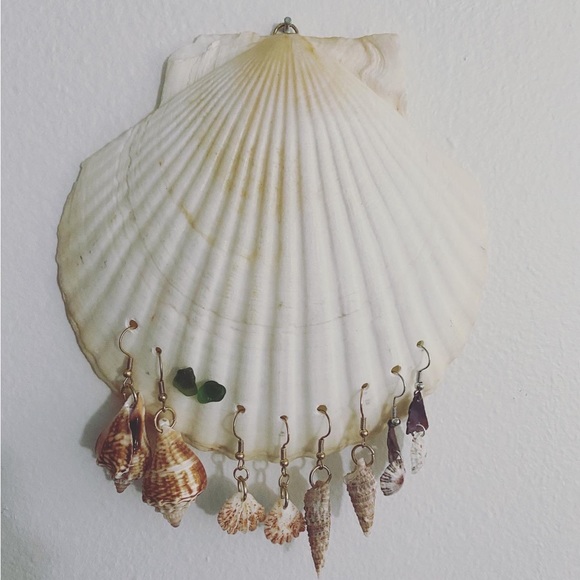 Various Seashell Earrings - Picture 1 of 3
